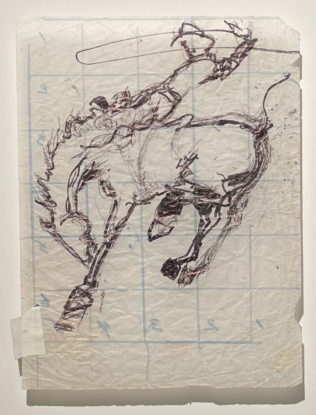 Horse and Rider