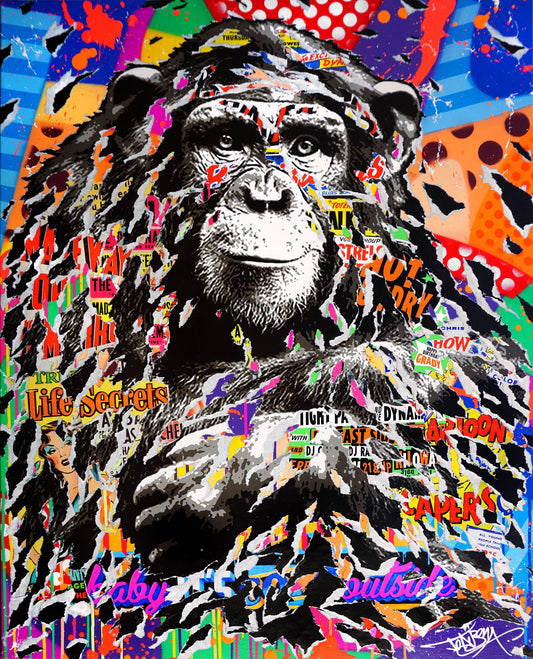 Dynamic Monkey