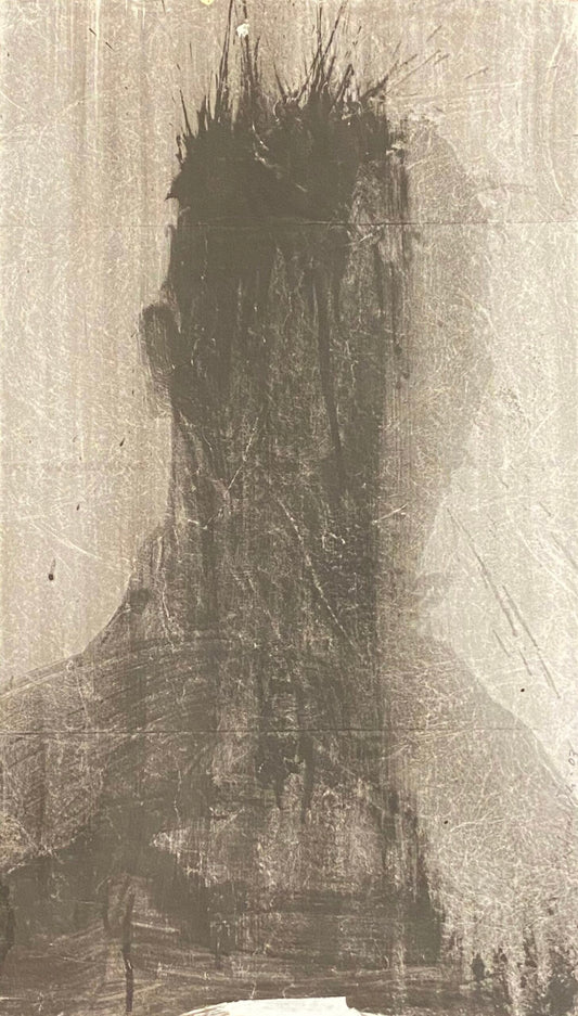 Shadow Head Portrait FedEx